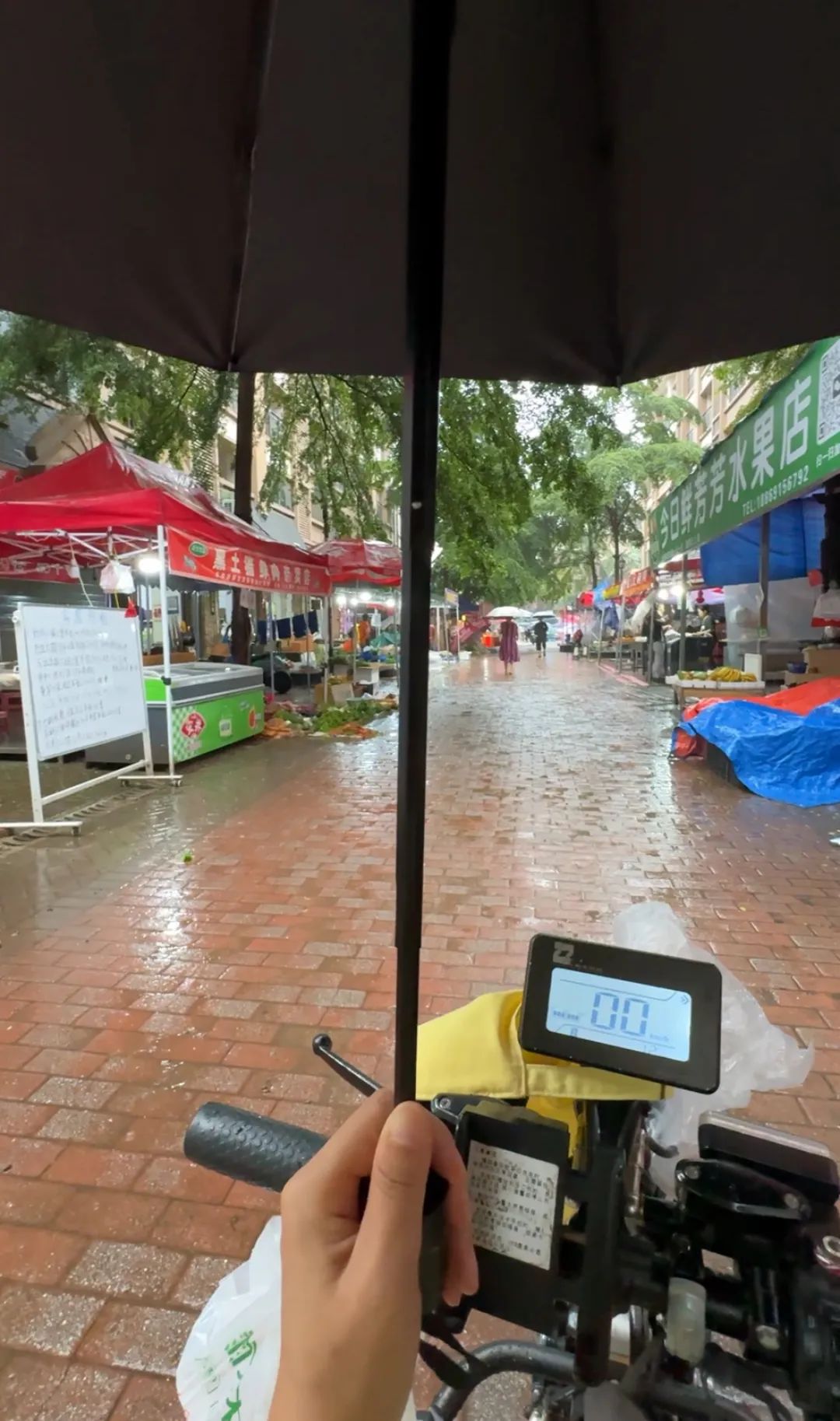 暑期輪椅旅行準備_出行提示_無障礙旅游出行指南