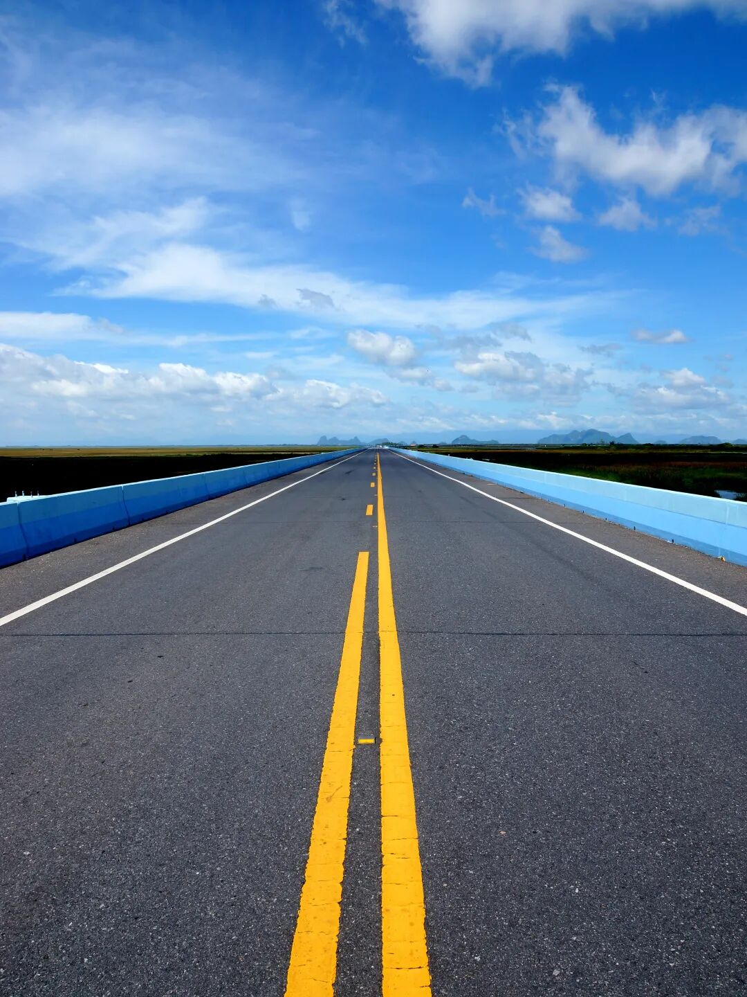 專業(yè)路況檢測_道路養(yǎng)護科技賦能_路況