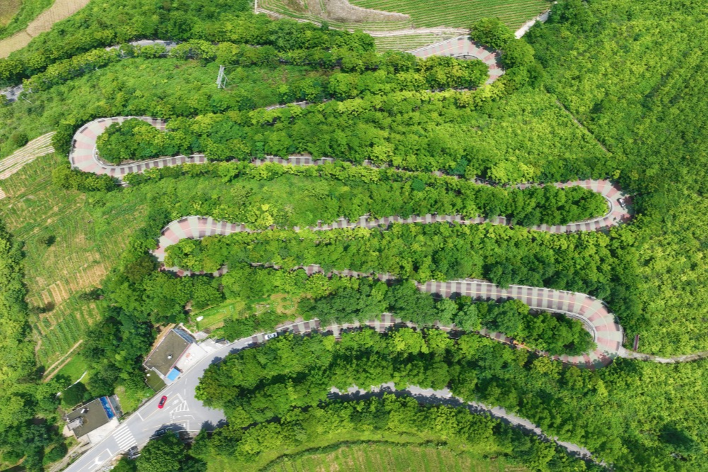 農(nóng)村道路交通安全提示_出行提示_駕駛?cè)顺鲂邪踩?/></p>

<p>駕駛?cè)似?/p>
<p>農(nóng)村道路出行安全提示</p>
<p>出車之前要對(duì)車況展開(kāi)檢查，圍繞車輛走上一圈，對(duì)胎壓進(jìn)行檢查，對(duì)燈光加以檢查，對(duì)剎車予以檢查，以此來(lái)保證車況處于良好的狀態(tài)。</p>
<p>第②點(diǎn)，一盔一帶，安全常在，不管是駕駛小轎車，還是乘坐車輛當(dāng)中的前排，或者后排，所駕乘人員都必須系好安全帶，騎乘摩托車、電動(dòng)車時(shí)，請(qǐng)正確佩戴合格的安全頭盔，對(duì)于拖拉機(jī)、三輪車，車尾務(wù)必一定要貼好反光貼，用以提示后車避開(kāi)避免追尾。</p>

<p>要守法，做到文明出行，不進(jìn)行無(wú)證的駕駛行為，不酒后駕車，不超員超載，不非法載人，不疲勞駕駛，遵守交通安全法律法規(guī)，從而文明出行 。</p>
<p>④駕車出行之際，心態(tài)需保持那種平和的狀態(tài) ，視線要朝著遠(yuǎn)處去放 。碰到農(nóng)用車 ，碰到三輪車 ，要懷揣耐心去跟隨 ，挑選安全地段之后再超車 。路過(guò)村口時(shí) ，經(jīng)過(guò)路口時(shí) ，穿過(guò)巷口時(shí) ，務(wù)必要提前降低速度 ，并且鳴響喇叭 。</p>

<p>行人篇</p>
<p>農(nóng)村道路出行安全提示</p>
<p>步行之際，當(dāng)盡可能游走于硬化路面之邊緣地帶或者專門(mén)設(shè)置之人行通道上面，需避開(kāi)那些存在坑洼以及破損狀況的路段，并且要沿著邊緣行走；而當(dāng)路過(guò)路口、彎道、坡頂?shù)葘儆谝暰€盲區(qū)的區(qū)域之時(shí)，務(wù)必要格外留意進(jìn)行觀察。</p>
<p><img src=