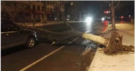 大風(fēng)天氣行車安全注意事項(xiàng)_出行提示_大風(fēng)天氣車輛行駛技巧