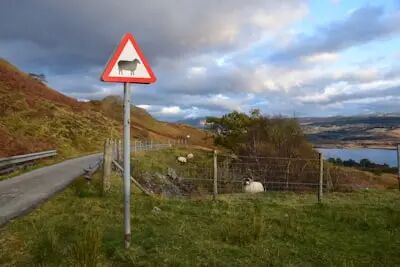 規(guī)范燒荒_出行提示_交通安全隱患