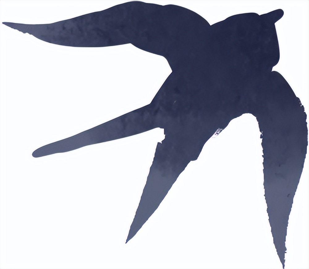 出行提示_秋季雨霧行車安全_雨霧天氣駕駛注意事項(xiàng)