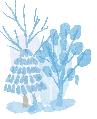 大風(fēng)降溫天氣預(yù)報(bào)_明顯降雪天氣預(yù)報(bào)_出行提示