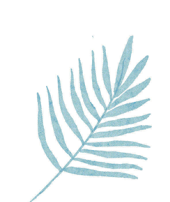 出行提示_冬季延邊降雪天氣預(yù)報(bào)_雪天行車安全指南